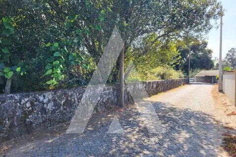 Helårsgrund i Esposende, Braga, Esposende - € 950.000 | Ref: 1350118/24VC - foto 19
