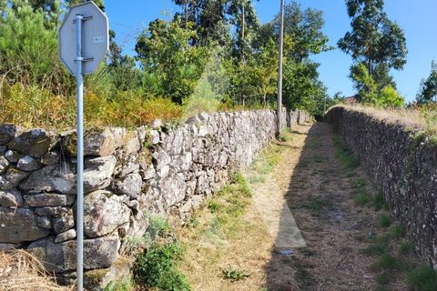 Helårsgrund i Esposende, Braga, Esposende - € 950.000 | Ref: 1350118/24VC - foto 21