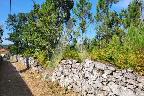 Helårsgrund i Esposende, Braga, Esposende - € 950.000 | Ref: 1350118/24VC - foto 22