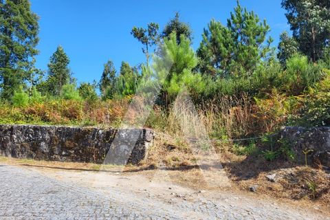 Helårsgrund i Esposende, Braga, Esposende - € 950.000 | Ref: 1350118/24VC - foto 23