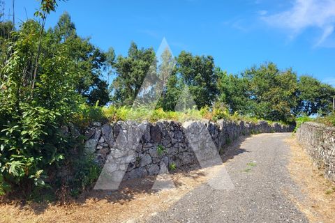 Helårsgrund i Esposende, Braga, Esposende - € 950.000 | Ref: 1350118/24VC - foto 24