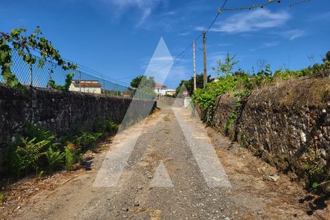 Helårsgrund i Esposende, Braga, Esposende - € 950.000 | Ref: 1350118/24VC - foto 25