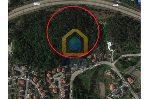 Helårsgrund i Fafe, Braga, Fafe - € 192.500 | Ref: 5364 - foto 2