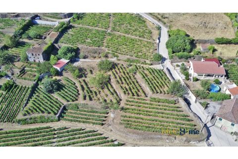 Grond in Sabrosa, Vila Real, Sabrosa - € 120.000 | Ref: MH2341 - foto 1