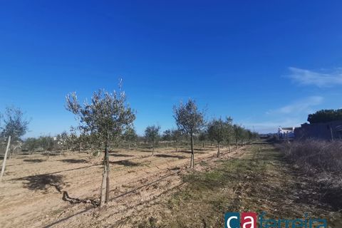 Helårsgrund i Benfica do Ribatejo, Santarem, Benfica do Ribatejo - € 115.000 | Ref: TER3909 - foto 2