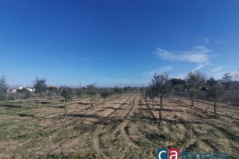 Helårsgrund i Benfica do Ribatejo, Santarem, Benfica do Ribatejo - € 115.000 | Ref: TER3909 - foto 6