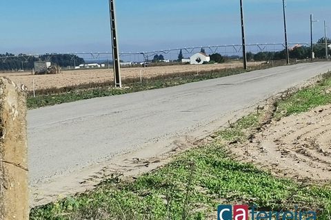 Helårsgrund i Benfica do Ribatejo, Santarem, Benfica do Ribatejo - € 115.000 | Ref: TER3909 - foto 19