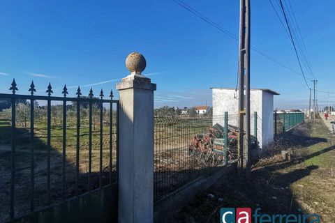 Helårsgrund i Benfica do Ribatejo, Santarem, Benfica do Ribatejo - € 115.000 | Ref: TER3909 - foto 20