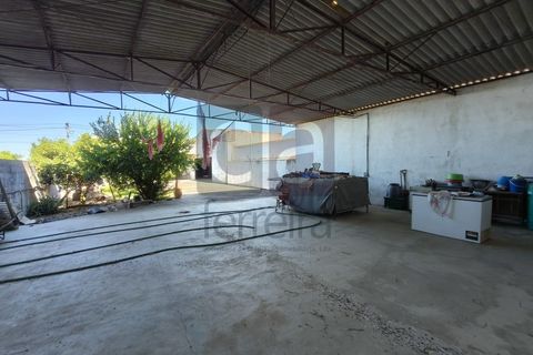 Villa i Azinhaga, Santarem, Azinhaga - € 280.000 | Ref: MOR4410 - foto 23