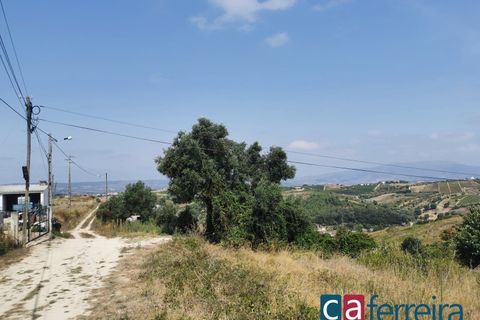 Helårsgrund i Alenquer, Lisbon, Alenquer - € 42.500 | Ref: TERR4407 - foto 7
