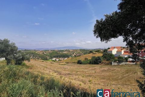 Helårsgrund i Alenquer, Lisbon, Alenquer - € 42.500 | Ref: TERR4407 - foto 8