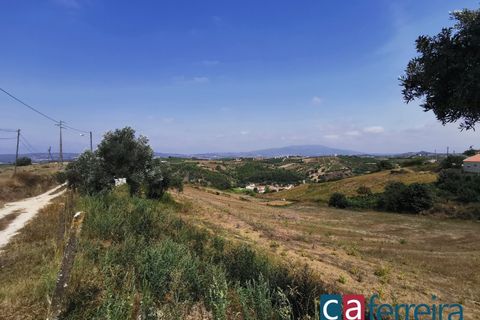 Helårsgrund i Alenquer, Lisbon, Alenquer - € 42.500 | Ref: TERR4407 - foto 10