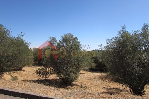 Helårsgrund i Elvas, Portalegre, Elvas - € 109.000 | Ref: SÒL_147 - foto 2