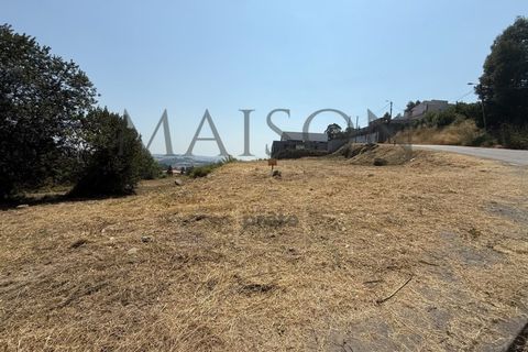 Tomt i Paredes, Porto, Paredes - € 125 000 | Ref: MP-EF-T-411 - foto 3
