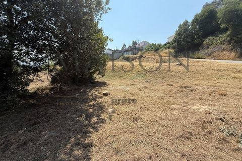 Tomt i Paredes, Porto, Paredes - € 125 000 | Ref: MP-EF-T-411 - foto 10