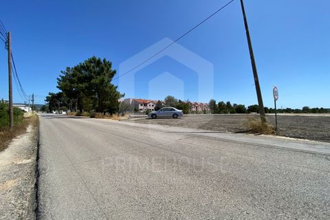 Erhvervsejendom i Quinta do Anjo, Setubal, Quinta do Anjo - € 900.000 | Ref: PH3207 - foto 7