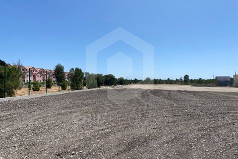 Erhvervsejendom i Quinta do Anjo, Setubal, Quinta do Anjo - € 900.000 | Ref: PH3207 - foto 8