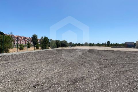 Erhvervsejendom i Quinta do Anjo, Setubal, Quinta do Anjo - € 900.000 | Ref: PH3207 - foto 9