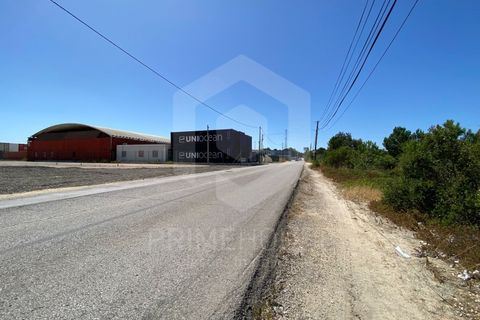 Erhvervsejendom i Quinta do Anjo, Setubal, Quinta do Anjo - € 900.000 | Ref: PH3207 - foto 10