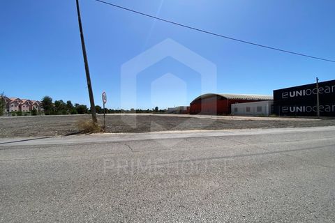 Erhvervsejendom i Quinta do Anjo, Setubal, Quinta do Anjo - € 900.000 | Ref: PH3207 - foto 11