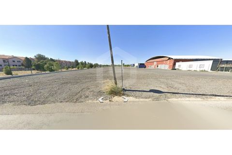 Erhvervsejendom i Quinta do Anjo, Setubal, Quinta do Anjo - € 900.000 | Ref: PH3207 - foto 12