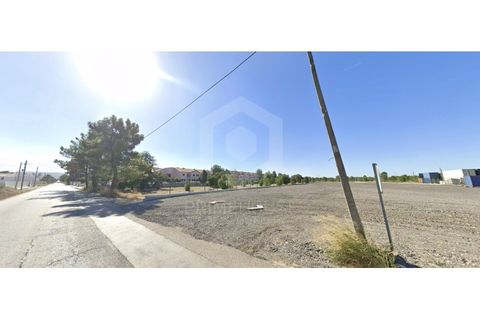 Erhvervsejendom i Quinta do Anjo, Setubal, Quinta do Anjo - € 900.000 | Ref: PH3207 - foto 13