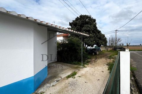 Villa i Benfica do Ribatejo, Santarem, Benfica do Ribatejo - € 138.000 | Ref: DHM-0037/25 - foto 6