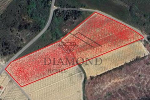 Terreno en Alpiarca, Santarem, Alpiarca - € 75.000 | Ref: DHTR-0007/24 - photo 1