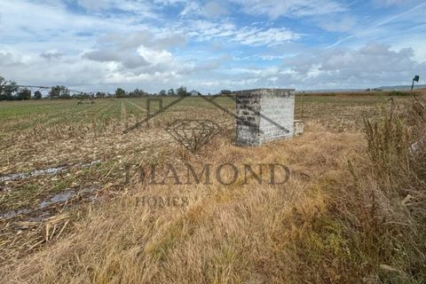 Helårsgrund i Chamusca, Santarem, Chamusca - € 315.000 | Ref: DHTR-0010/24 - foto 1