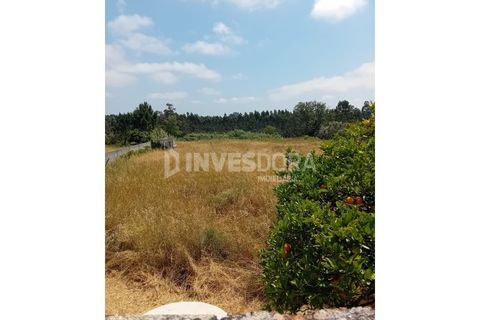 Villa i Sosa, Aveiro, Sosa - € 210.000 | Ref: HAB_299 - foto 8