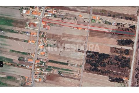 Helårsgrund i Vagos, Aveiro, Vagos - € 80.000 | Ref: SÒL_277 - foto 3