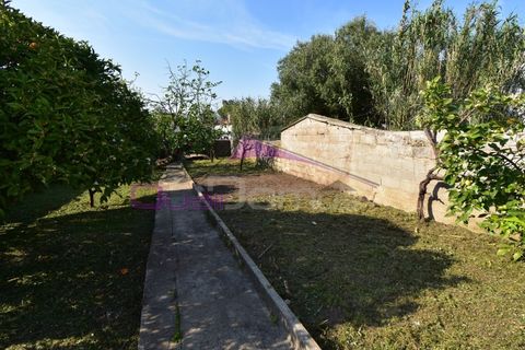 Villa a Atalaia, Santarem, Atalaia - € 245.000 | Ref: 2496 - foto 36