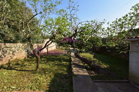 Villa a Atalaia, Santarem, Atalaia - € 245.000 | Ref: 2496 - foto 39