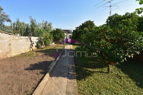 Villa a Atalaia, Santarem, Atalaia - € 245.000 | Ref: 2496 - foto 42
