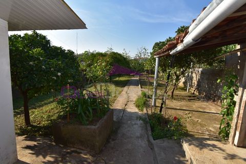 Villa a Atalaia, Santarem, Atalaia - € 245.000 | Ref: 2496 - foto 44