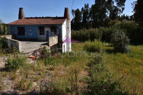 Villa i Vila Nova da Barquinha, Santarem, Vila Nova da Barquinha - € 67.500 | Ref: 2407 - foto 2