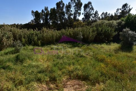 Villa i Vila Nova da Barquinha, Santarem, Vila Nova da Barquinha - € 67.500 | Ref: 2407 - foto 3