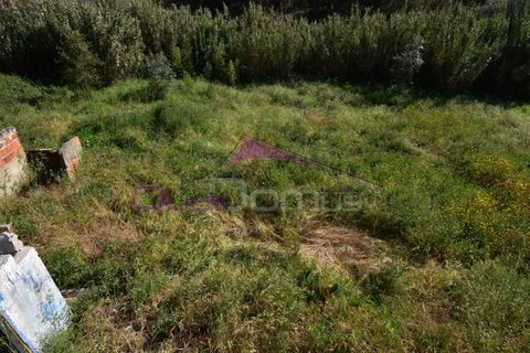 Villa i Vila Nova da Barquinha, Santarem, Vila Nova da Barquinha - € 67.500 | Ref: 2407 - foto 4