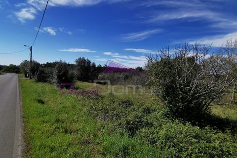 Helårsgrund i Olaia e Paco, Santarem, Olaia e Paco - € 25.000 | Ref: 2232 - foto 2