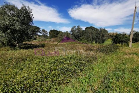 Helårsgrund i Olaia e Paco, Santarem, Olaia e Paco - € 25.000 | Ref: 2232 - foto 3