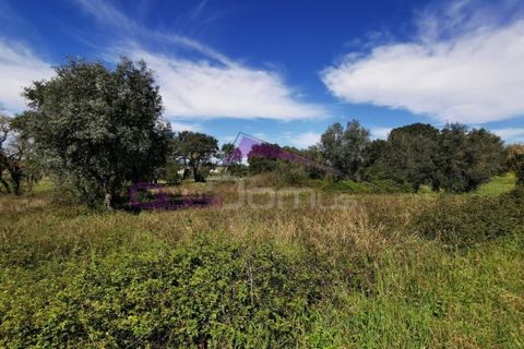 Helårsgrund i Olaia e Paco, Santarem, Olaia e Paco - € 25.000 | Ref: 2232 - foto 4