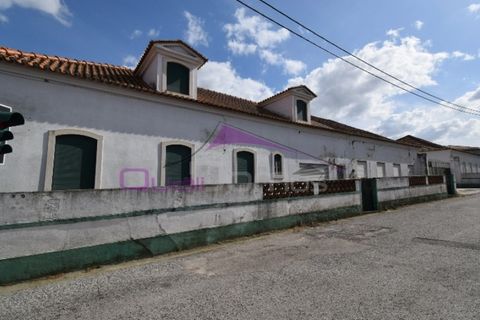 Erhvervsejendom i Riachos, Santarem, Riachos - € 330.000 | Ref: 1850 - foto 5