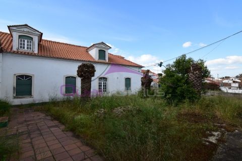 Erhvervsejendom i Riachos, Santarem, Riachos - € 330.000 | Ref: 1850 - foto 6