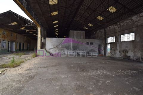 Erhvervsejendom i Riachos, Santarem, Riachos - € 330.000 | Ref: 1850 - foto 25