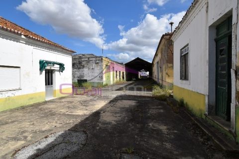 Erhvervsejendom i Riachos, Santarem, Riachos - € 330.000 | Ref: 1850 - foto 26