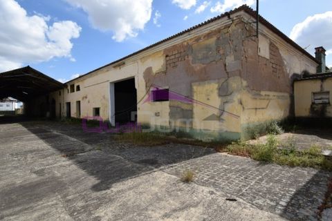 Erhvervsejendom i Riachos, Santarem, Riachos - € 330.000 | Ref: 1850 - foto 28