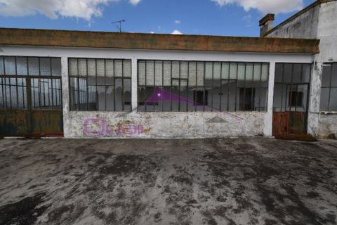 Erhvervsejendom i Riachos, Santarem, Riachos - € 330.000 | Ref: 1850 - foto 37