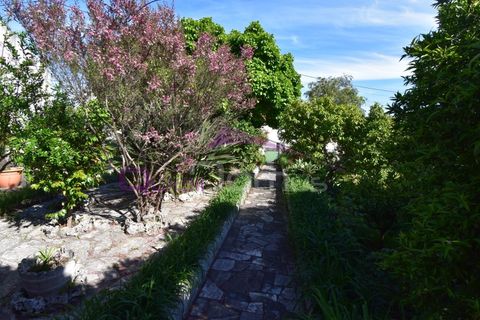Villa i Alcanena, Santarem, Alcanena - € 320.000 | Ref: 2500 - foto 26
