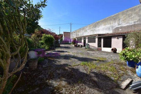 Villa i Alcanena, Santarem, Alcanena - € 320.000 | Ref: 2500 - foto 28