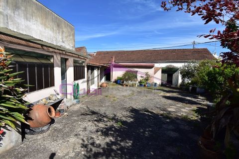 Villa i Alcanena, Santarem, Alcanena - € 320.000 | Ref: 2500 - foto 30